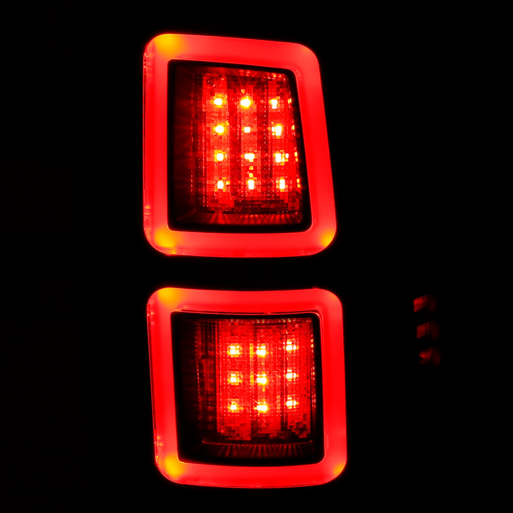 2009-2010 Dodge Ram Tail Light Assembly