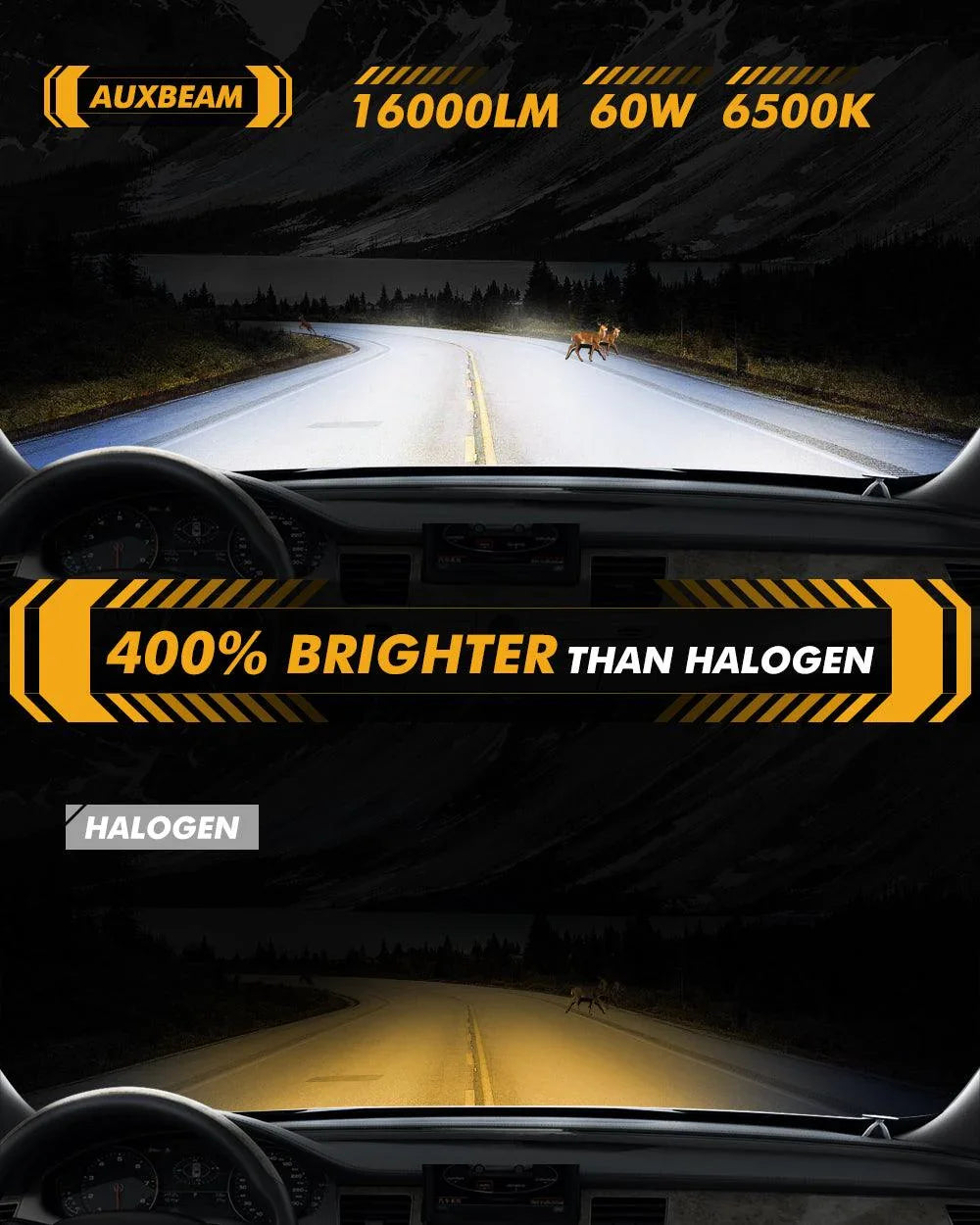 Auxbeam H11+H11 LED Headlight Bulbs 60W Q20-SE Series 1:1 OEM Factory Size 4