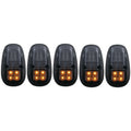1999-2002 Dodge Ram Cab Roof Light Assembly