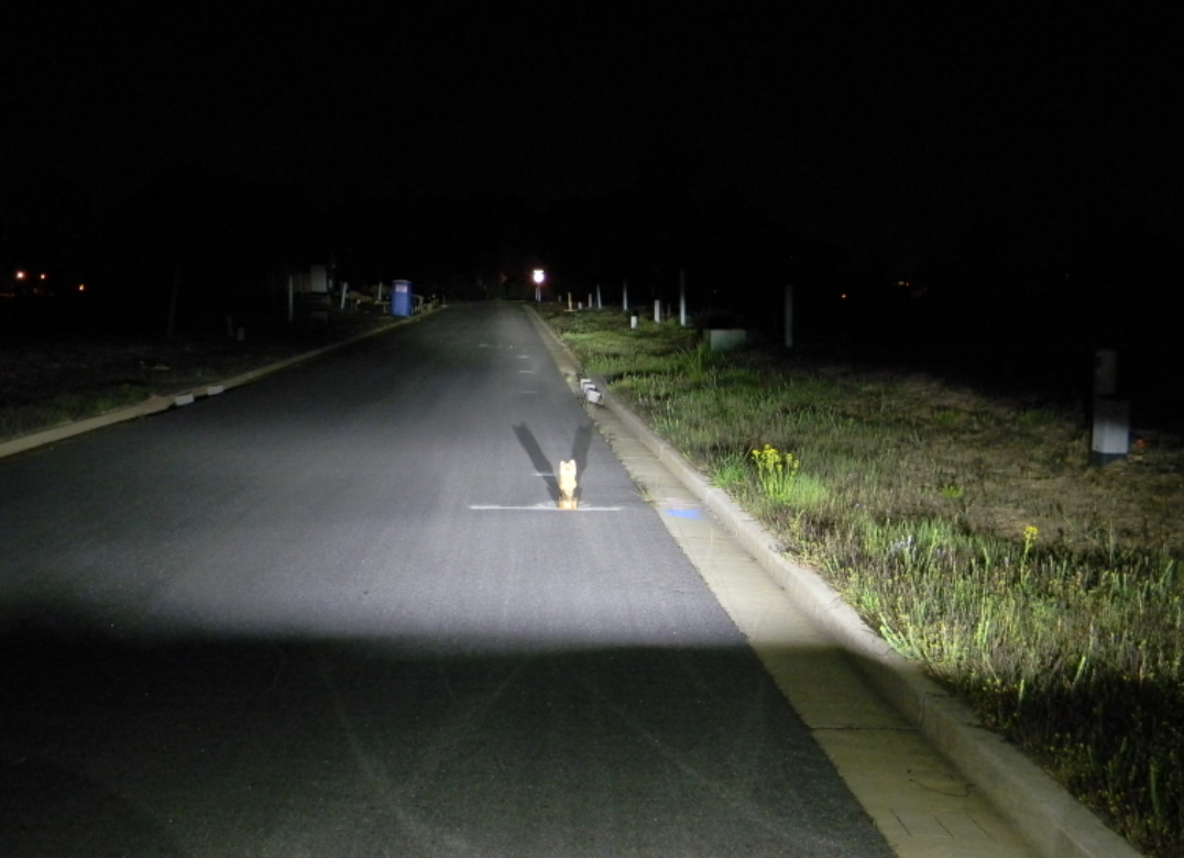 LED Projector Headlight by FCK Lightbars (Vision at Night)